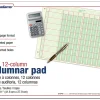 Adams® Analysis Pad, 11" x 16 3/8", 100 Pages (50 Sheets), 12 Columns, Green