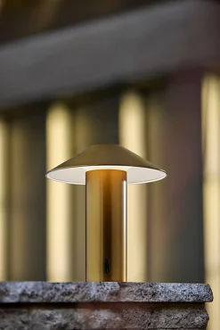 Adesso ADS360 Pina LED Cordless Table Lamp, Antique Brass