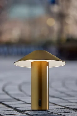 Adesso ADS360 Pina LED Cordless Table Lamp, Antique Brass