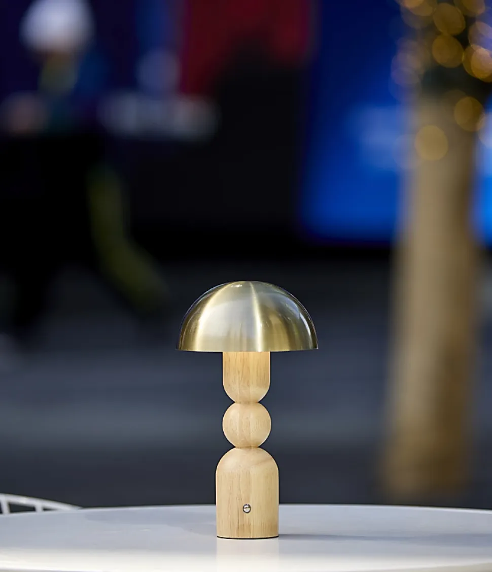 Adesso Connie LED Cordless Table Lamp, Natural with Antique Brass Shade