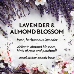 Air Wick Essential Mist Scented Diffuser Oil Refills - Oil - 0.7 fl oz (0 quart) - Lavender & Almond Blossoms - 45 Day - Long Lasting - 6 / Carton