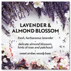 Air Wick® Essential Mist Starter Kit, Lavender And Almond Blossom, 0.67 Oz