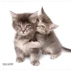Allsop® Naturesmart Mouse Pad, 8.5" x 8", Kitten