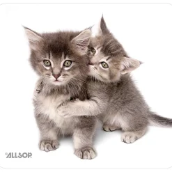 AllsopĀ® Naturesmart Mouse Pad, 8.5" x 8", Kitten