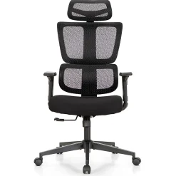ALPHA HOME Adjustable Ergonomic Mesh High-Back Office Task Chair, Black