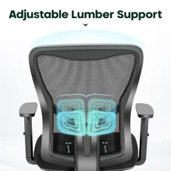 ALPHA HOME Ergonomic Fabric Mid-Back Office Task Chair With Lumbar Support, Black