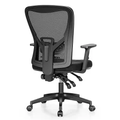 ALPHA HOME Ergonomic Fabric Mid-Back Office Task Chair With Lumbar Support, Black