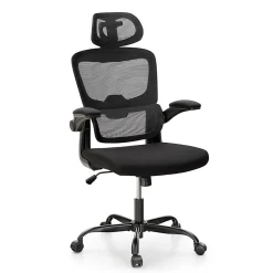 ALPHA HOME Ergonomic Mesh High-Back Task Chair, Black