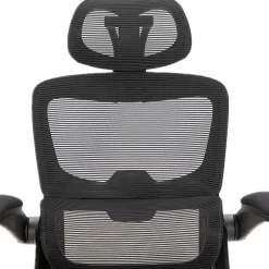 ALPHA HOME Ergonomic Mesh High-Back Task Chair, Black