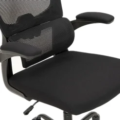 ALPHA HOME Ergonomic Mesh High-Back Task Chair, Black