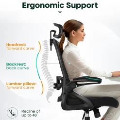 ALPHA HOME Ergonomic Mesh Mid-Back Office Task Chair With Adjustable Headrest, Black