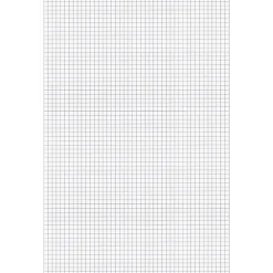 Ampad Graph Pad - 50 Sheets - Both Side Ruling Surface - 15 lb Basis Weight - Tabloid - 11"x17" Sheet Size - 22037