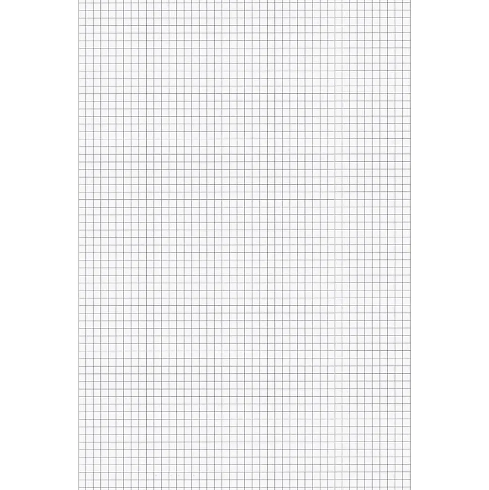 Ampad Graph Pad - 50 Sheets - Both Side Ruling Surface - 15 lb Basis Weight - Tabloid - 11"x17" Sheet Size - 22037