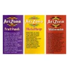Arizona Juice Variety Pack, 20 Oz, Pack Of 24 Bottles