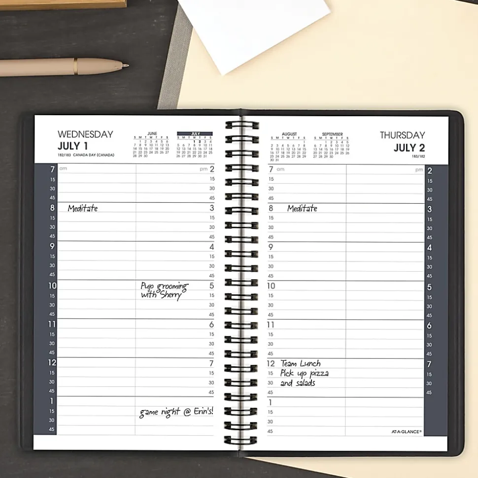 AT-A-GLANCE® Academic 2026-2027 Daily Appointment Book Planner, Black, Small, 5" x 8"