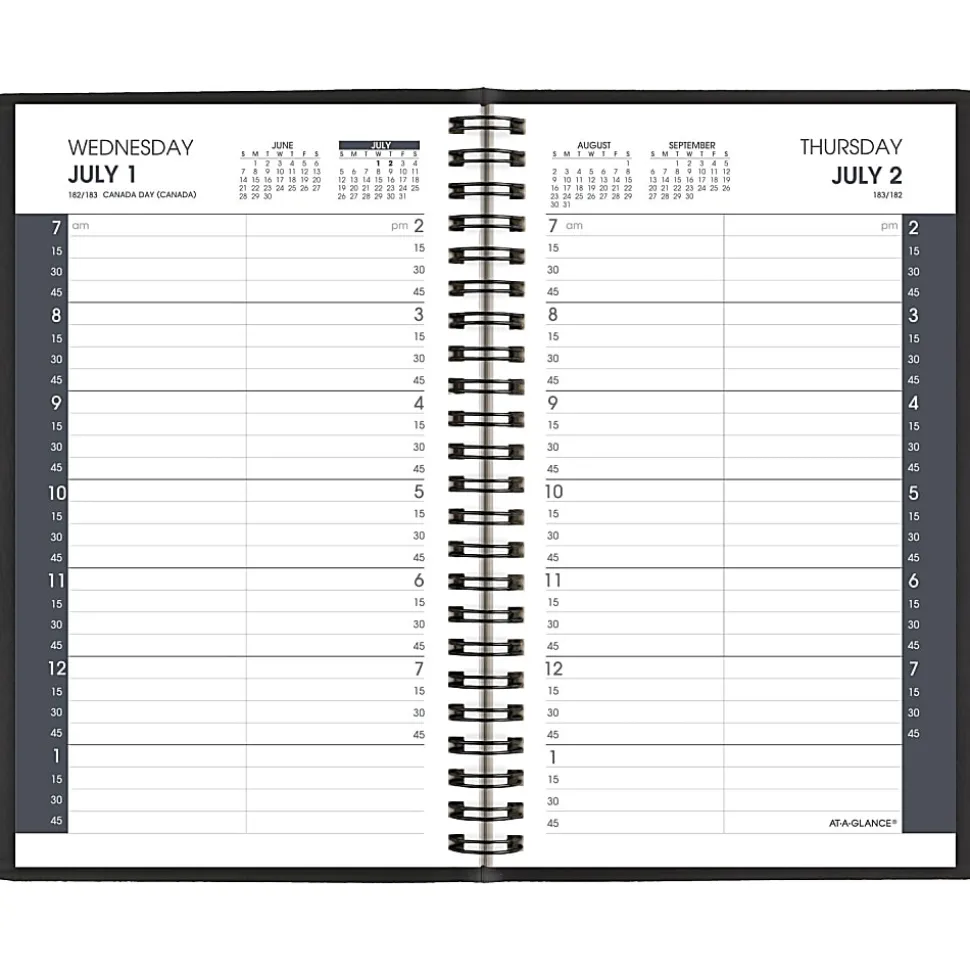 AT-A-GLANCE® Academic 2026-2027 Daily Appointment Book Planner, Black, Small, 5" x 8"