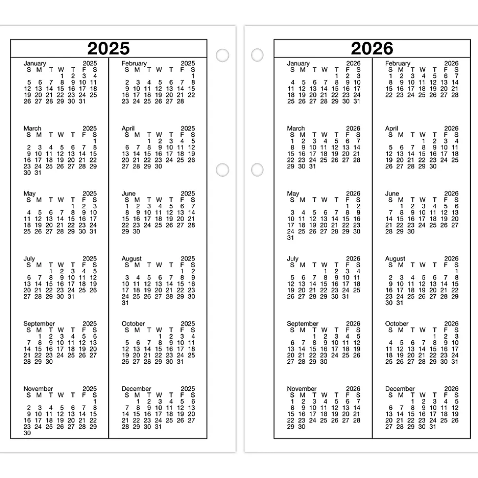 AT-A-GLANCE® 2026 Daily Loose-Leaf Desk Calendar Refill, Standard, 4 1/2" x 8"