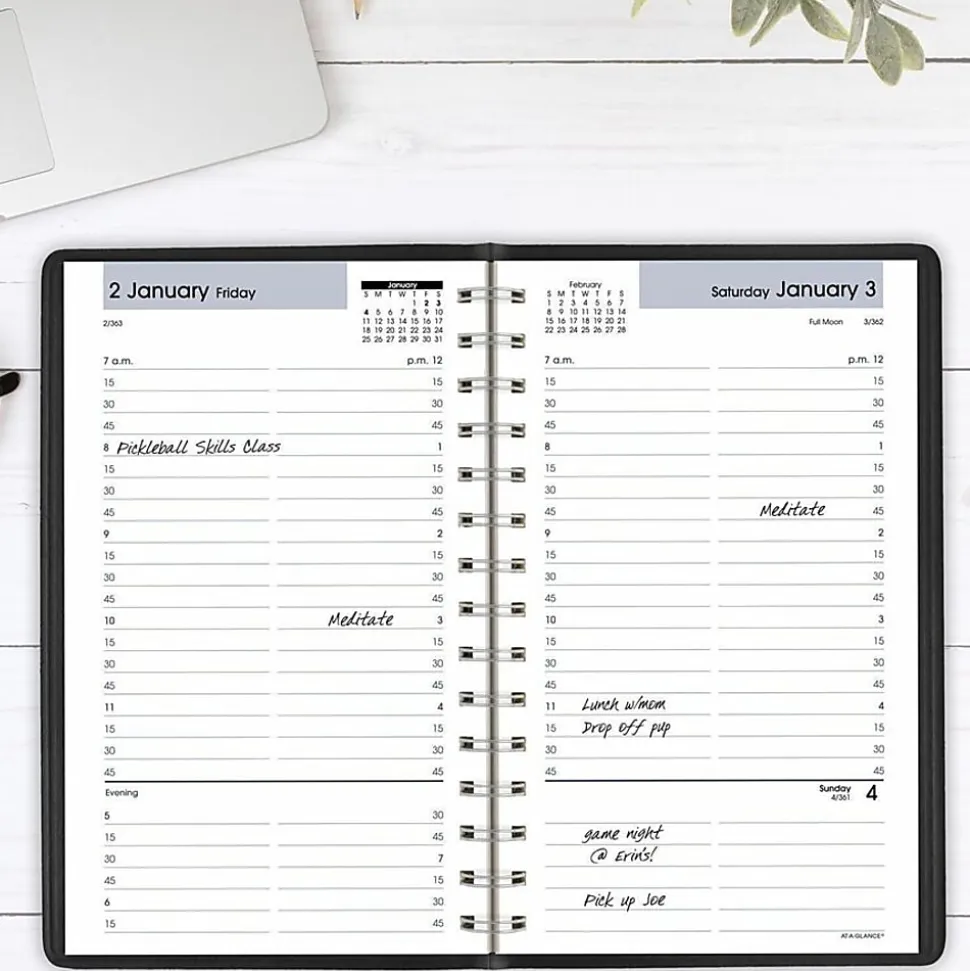 AT-A-GLANCE® DayMinder® 2026 Daily Appointment Book Planner, Black, Small, 5" x 8", G1000026