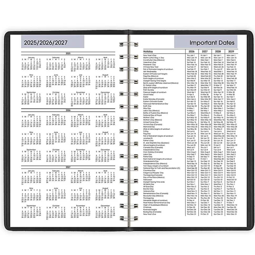 AT-A-GLANCE® DayMinder® 2026 Daily Appointment Book Planner, Black, Small, 5" x 8", G1000026