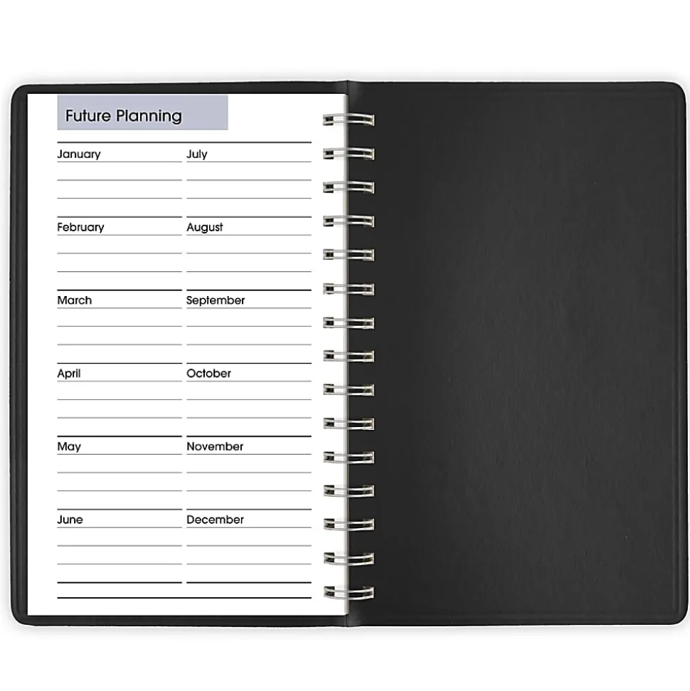 AT-A-GLANCE® DayMinder® 2026 Daily Appointment Book Planner, Black, Small, 5" x 8", G1000026