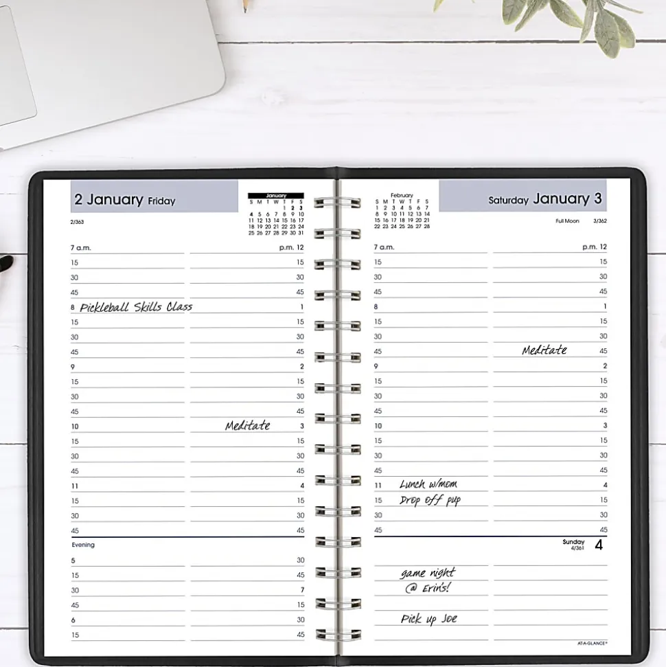 AT-A-GLANCE® DayMinder® 2026 Daily Appointment Book Planner, Black, Small, 5" x 8", G1000026
