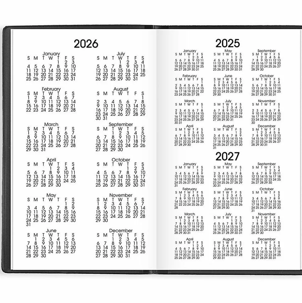 AT-A-GLANCE® DayMinder® 2026 Monthly Planner, Black, Pocket, 3 1/2" x 6"