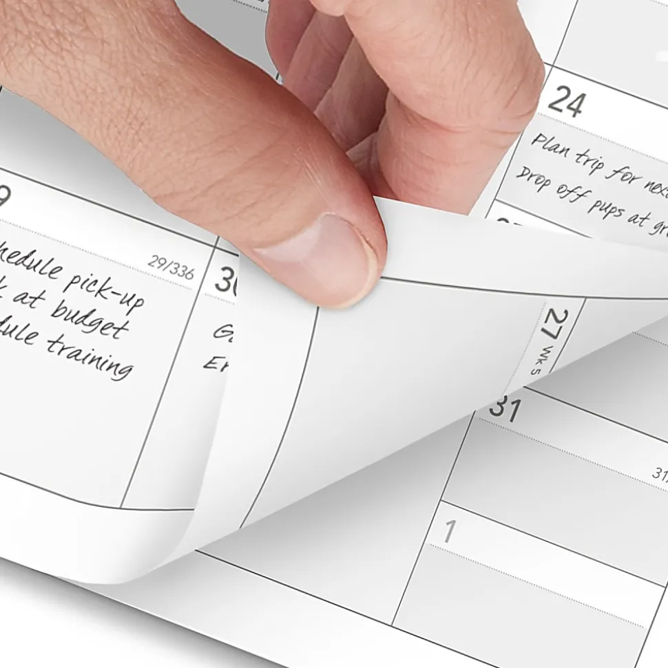 AT-A-GLANCE® 2026 Monthly Planner Refill, Loose-Leaf, Portable Size, 3 3/4" x 6 3/4"