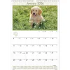 AT-A-GLANCE® 2026 Puppies Monthly Wall Calendar, Large, 15 1/2" x 22 3/4"