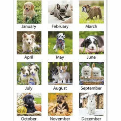 AT-A-GLANCE® 2026 Puppies Monthly Wall Calendar, Large, 15 1/2" x 22 3/4"