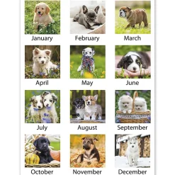 AT-A-GLANCE® 2026 Puppies Monthly Wall Calendar, Large, 15 1/2