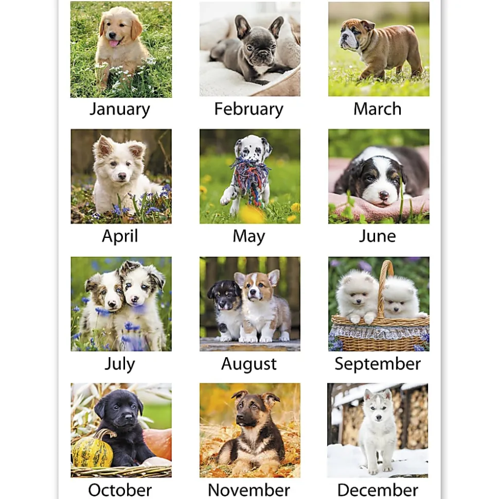 AT-A-GLANCE® 2026 Puppies Monthly Wall Calendar, Large, 15 1/2" x 22 3/4"