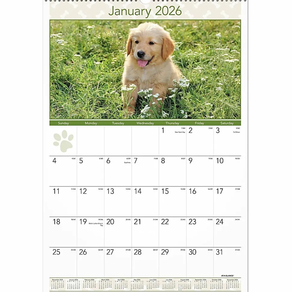 AT-A-GLANCE® 2026 Puppies Monthly Wall Calendar, Large, 15 1/2" x 22 3/4"