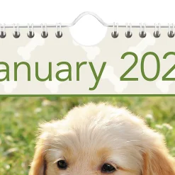 AT-A-GLANCE® 2026 Puppies Monthly Wall Calendar, Large, 15 1/2