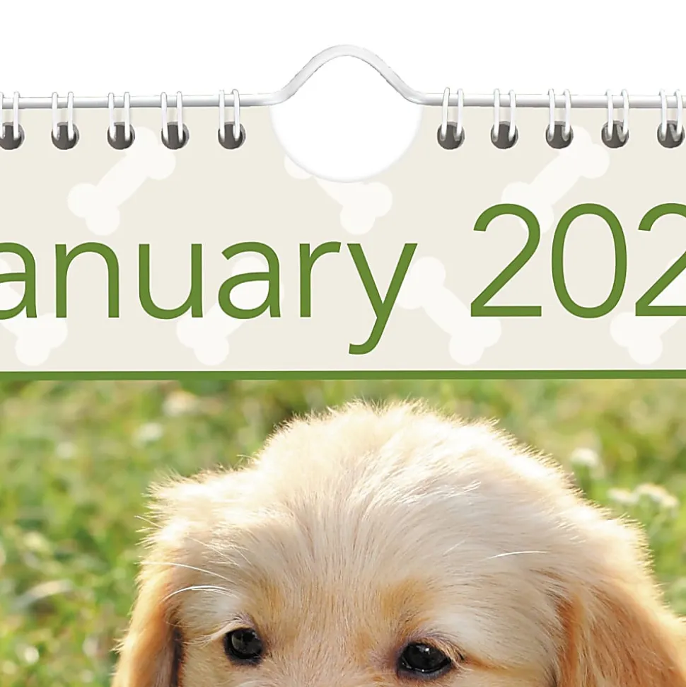 AT-A-GLANCE® 2026 Puppies Monthly Wall Calendar, Large, 15 1/2" x 22 3/4"