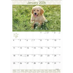 AT-A-GLANCE® 2026 Puppies Monthly Wall Calendar, Large, 15 1/2