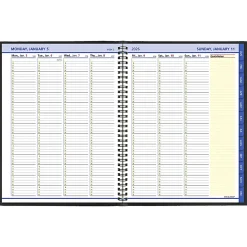 AT-A-GLANCE® QuickNotes® 2026 Weekly Monthly Appointment Book Planner, Black, Large, 8 1/4" x 11"