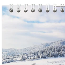AT-A-GLANCE® 2026 Scenic Three Month Wall Calendar, Large, 12