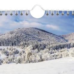 AT-A-GLANCE® 2026 Scenic Three Month Wall Calendar, Large, 12
