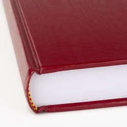 AT-A-GLANCE® Standard Diary® Daily Diary