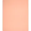 AT-A-GLANCE® WorkStyle™ Take Chances Notebook, 8 1/2" x 11", Faint Ruled, 80 Sheets, Coral (WS203-405)
