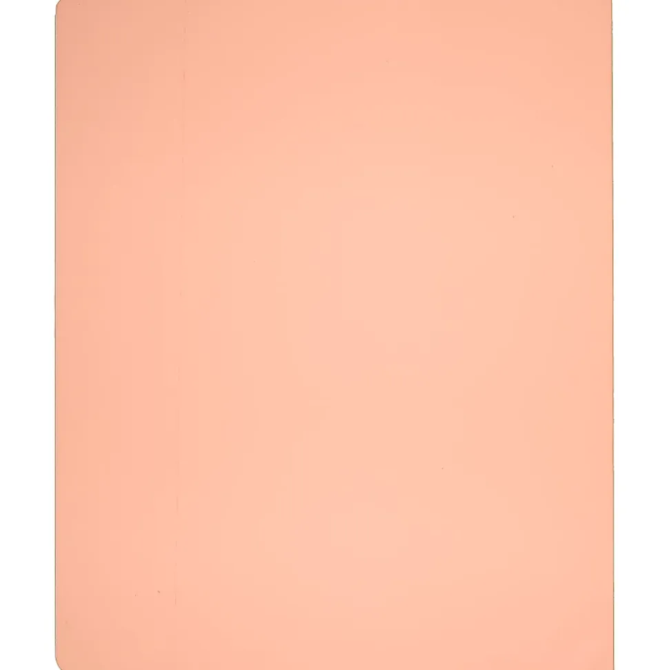 AT-A-GLANCE® WorkStyle™ Take Chances Notebook, 8 1/2" x 11", Faint Ruled, 80 Sheets, Coral (WS203-405)