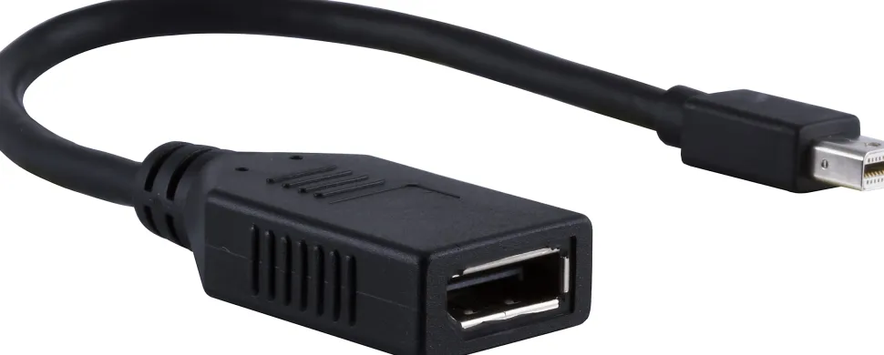 Ativa® Mini DisplayPort to DisplayPort Adapter, 6”, Black, 36542