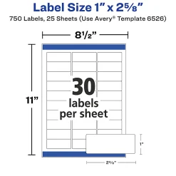 Avery® Address Labels With Sure Feed® And Easy Peel® Technology, 6526, Rectangle, 1