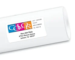 Avery® Shipping Labels With Sure Feed® Technology, 8253, Rectangle, 2" x 4", White, Pack Of 200 Labels