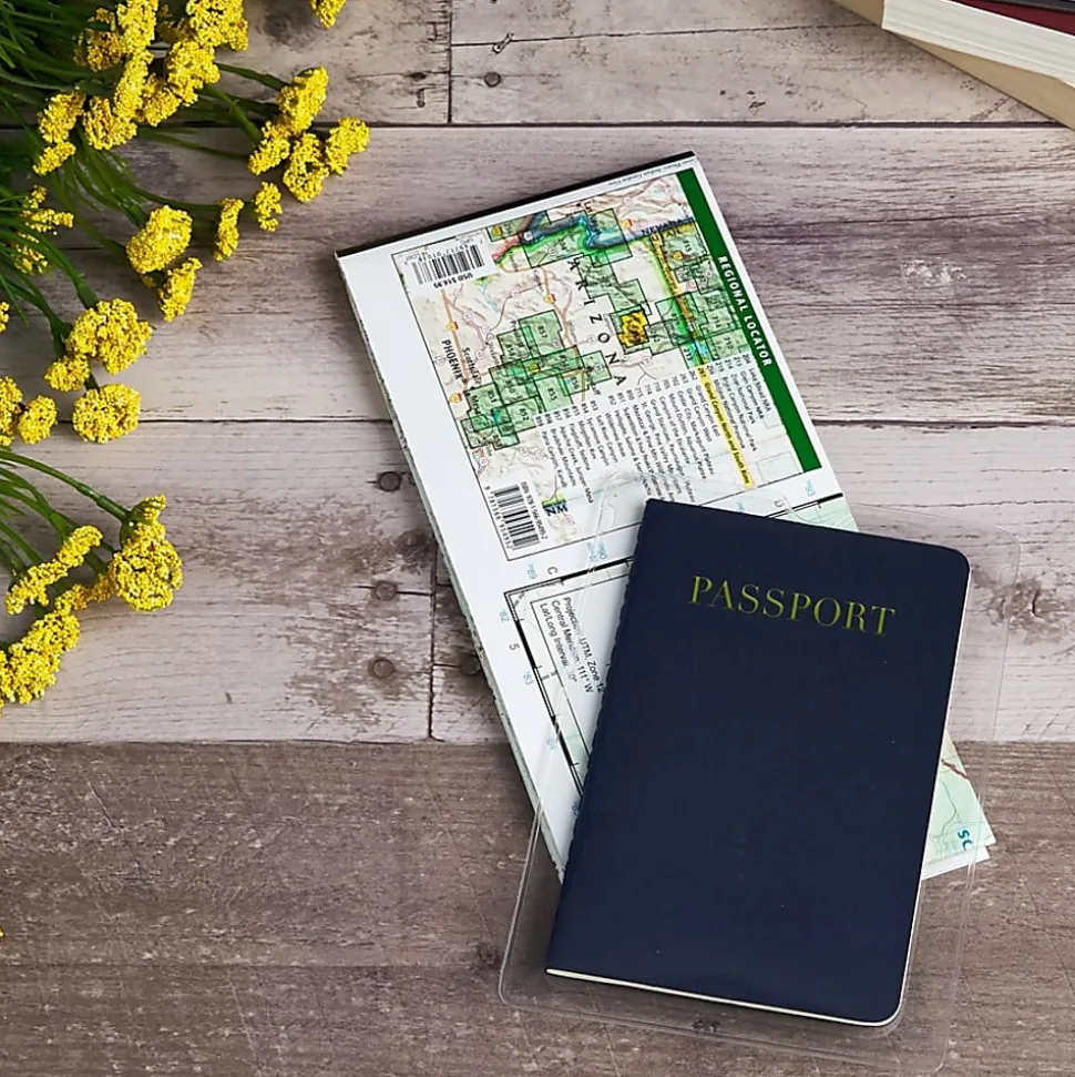 Avery® Vinyl File Envelopes, Passbook/Passport Holder, Holds Up To 30 Sheets, 4" x 6", Clear, 10 Vinyl Envelopes
