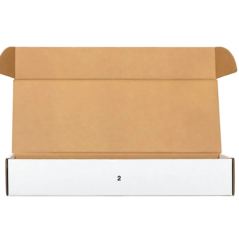 Bankers Box® Stor/File™ Check/Deposit Slip Storage Box With Flip-Top Closure, 24" x 9" x 4", 60% Recycled, White/Blue