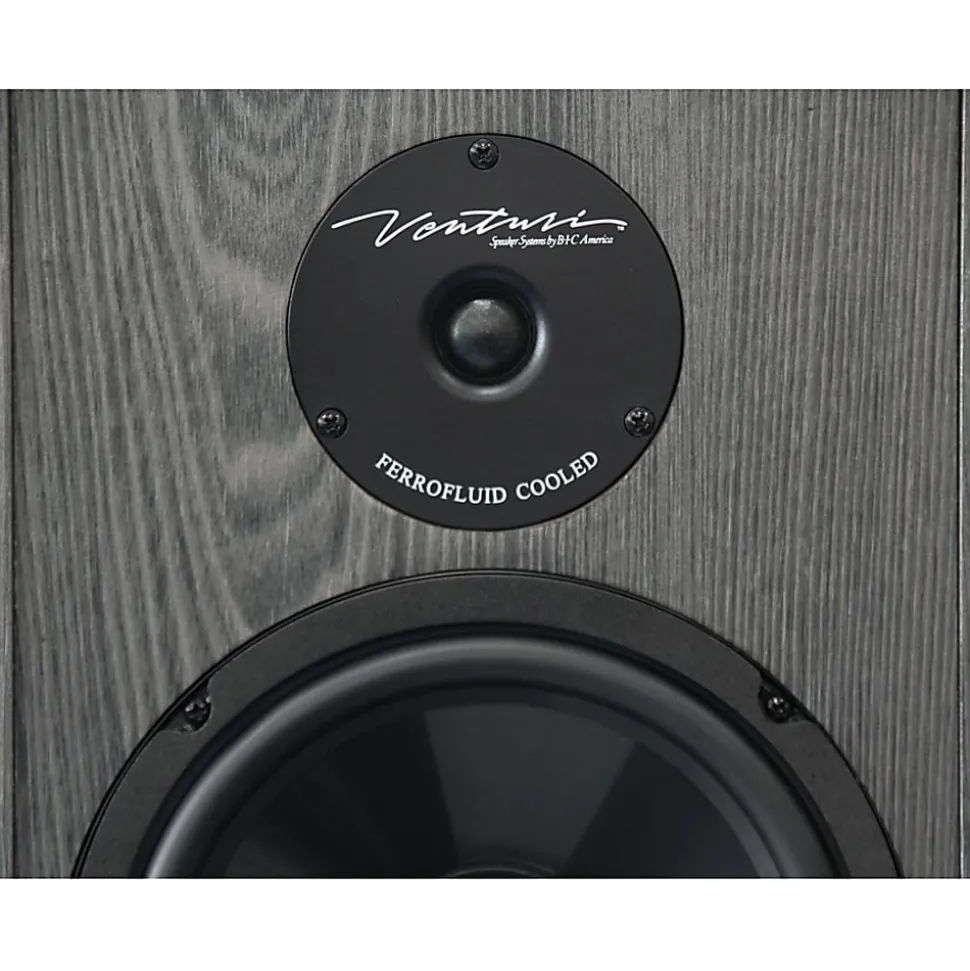 BIC America Venturi 2-way Speaker - 175 W RMS - Black - 8 Ohm, DV62SIB