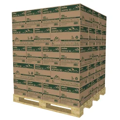 Boise® ASPEN® 30 Multi-Use Printer & Copy Paper, 200 Reams, White, Ledger (11" x 17"), 100000 Sheets Per Pallet- 054907-SKD-DA