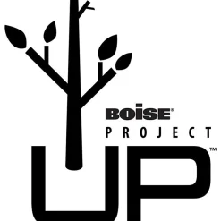 Boise® ASPEN® 30 Multi-Use Printer & Copy Paper, 5 Reams, White, Ledger (11" x 17"), 2500 Sheets Per Case- 054907-CTN