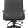 Boss Office Products Caressoft Executive Ergonomic High-Back Chair, Black